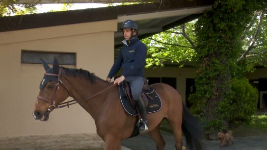 Rokfeller se despedir&aacute; en el Longines Global Champions Tour: "El caballo se lo merece"
