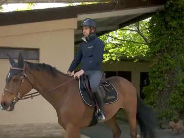 Rokfeller se despedirá en el Longines Global Champions Tour: "El caballo se lo merece" Rokfeller se despedirá en el Longines Global Champions Tour: "El caballo se lo merece"