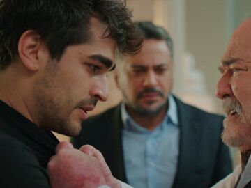 Ferit y Halis