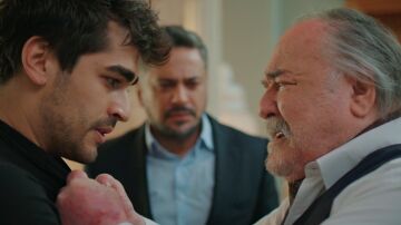 Ferit y Halis