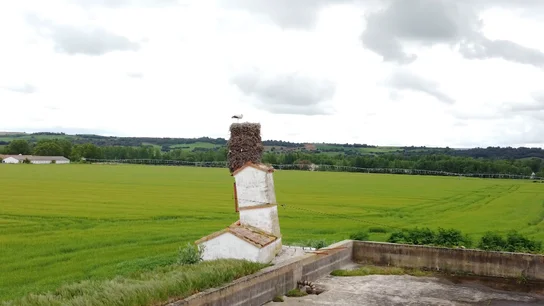 'La Torre de Pisa’ de Burgos 'La Torre de Pisa’ de Burgos