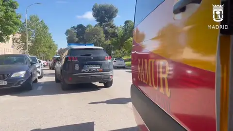 Pelea Madrid Pelea Madrid