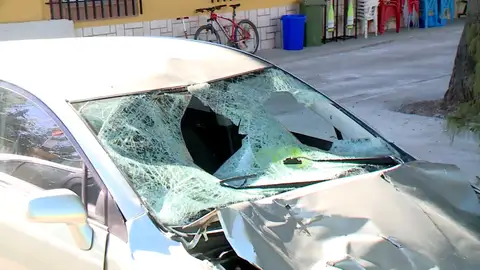 Atropello mortal Atropello mortal