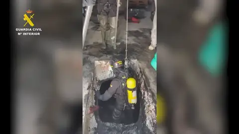 Temporeros Temporeros