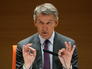 Alberto Núñez Feijóo, líder del PP