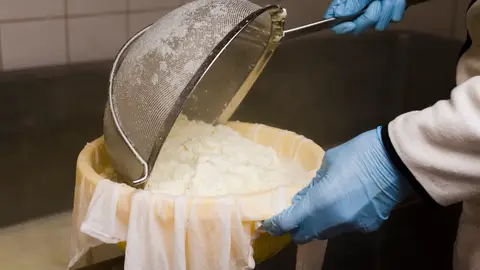 Hacer queso en casa Hacer queso en casa