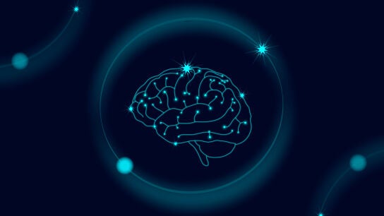 Ilustraci&oacute;n de un cerebro humano