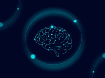 Ilustración de un cerebro humano