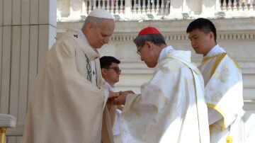 ANILLO PAPA