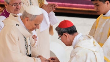 Imagen de León XIV en la misa de inicio de su pontificado.
