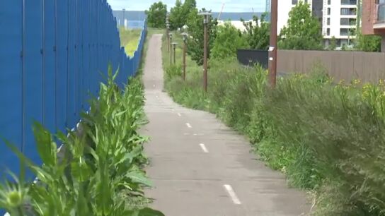 Vitoria teme un aumento sin control de los insectos y las alergias por la huelga de jardineros 