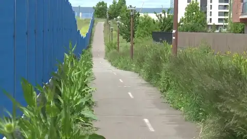 Maleza en Vitoria Vitoria teme un aumento sin control de los insectos y las alergias por la huelga de jardineros