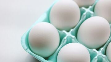 Huevos blancos