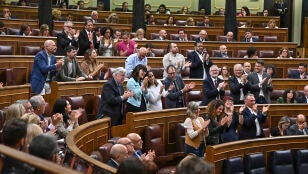 Pleno del Congreso de los Diputados 