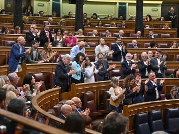 Pleno del Congreso de los Diputados 