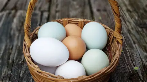 Huevos blancos, marrones y azulados Huevos blancos, marrones y azulados