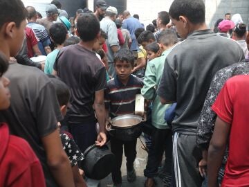 Distribución de comida en Gaza