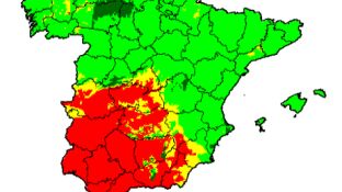La alergia que nos quita el sue&ntilde;o