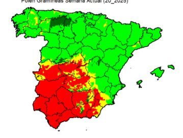 La alergia que nos quita el sueño