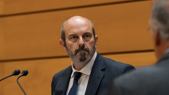El presidente del Senado, Pedro Roll&aacute;n, durante una sesi&oacute;n plenaria en el Senado