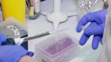 Científicos españoles descubren cómo envejece la sangre: un gran hallazgo para la lucha contra la leucemia y el envejecimiento