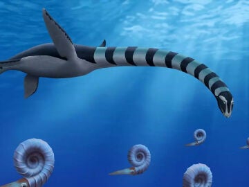 Imagen de archivo del Traskasaura sandrae