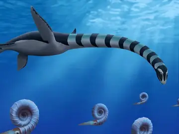 Imagen de archivo del Traskasaura sandrae Imagen de archivo del Traskasaura sandrae