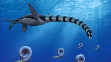 Imagen de archivo del Traskasaura sandrae