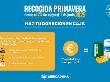 Recogida Primavera 2025