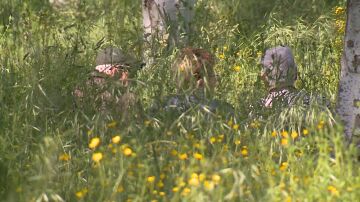 La hierba se expande sin control por Vitoria por la huelga de jardineros