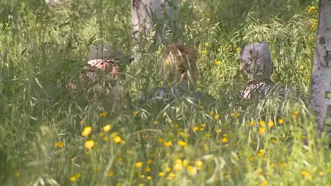 La hierba se expande sin control por Vitoria por la huelga de jardineros La hierba se expande sin control por Vitoria por la huelga de jardineros