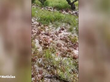 Las granizadas tempranas dañan el seis por ciento de las viñas de La Rioja