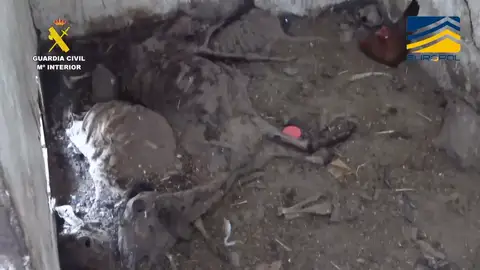 Las condiciones en las que vivían los animales Las condiciones en las que vivían los animales