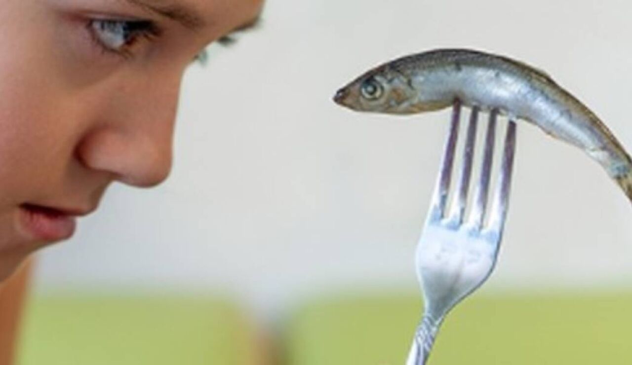 Una evaluaci&oacute;n cuestiona que el pescado mejore la inteligencia infantil