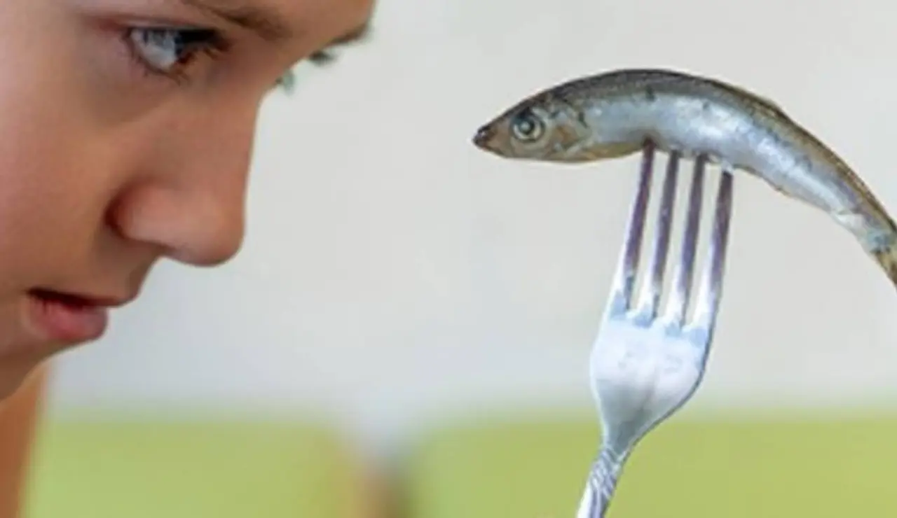 Una evaluación cuestiona que el pescado mejore la inteligencia infantil