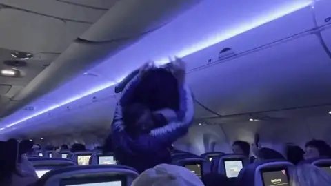 Palomas en pleno vuelo Palomas en pleno vuelo