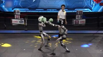 Un combate de kickboxing entre robots en China