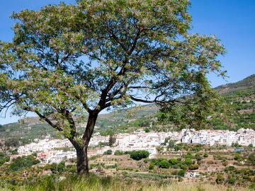 Imagen del pueblo de Lanjarón, Granada