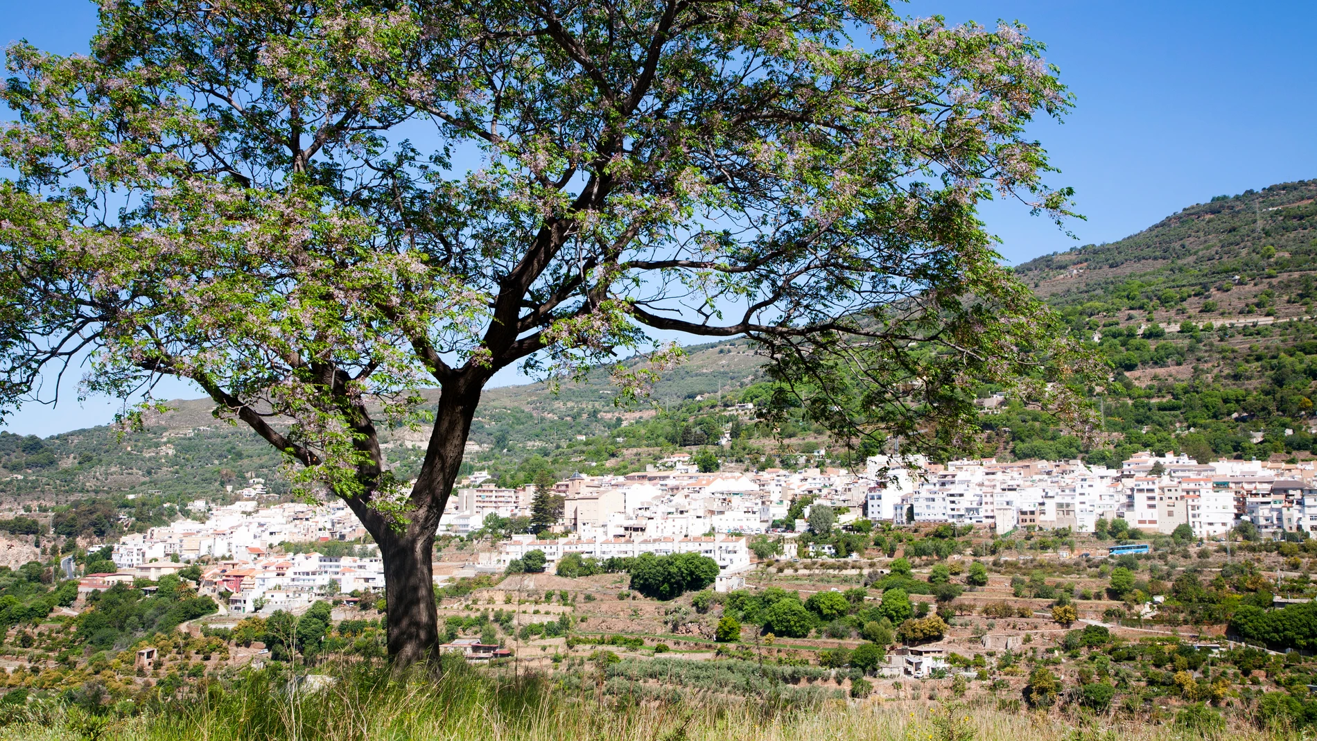 Imagen del pueblo de Lanjarón, Granada Imagen del pueblo de Lanjarón, Granada
