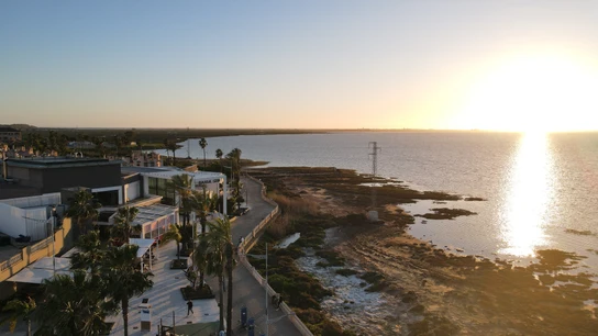 Cádiz.-Bahía Sur, en San Fernando Bahía Sur, en San Fernando (Cádiz), celebra el Día del Medioambiente con acciones centradas en la conservación ambiental.REMITIDA / HANDOUT por CC BAHÍA SURFotografía remitida a medios de comunicación exclusivamente para ilustrar la noticia a la que hace referencia la imagen, y citando la procedencia de la imagen en la firma03/06/2025