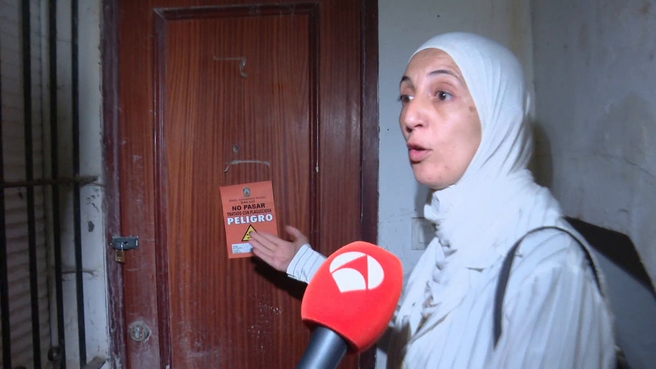 Es una ciudad de ratas Es una ciudad de ratas