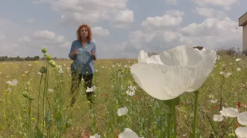 Vampiros del opio Vampiros del opio