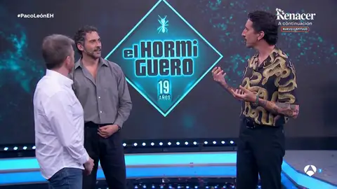 hormiguero hormiguero