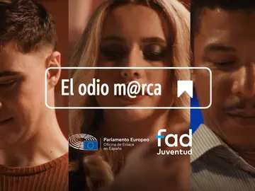 La mitad de los jóvenes ha sufrido discursos de odio en Internet en el último año La mitad de los jóvenes ha sufrido discursos de odio en Internet en el último año