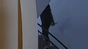 Vecino que amenaza a una familia en Motril Vecino que amenaza a una familia en Motril