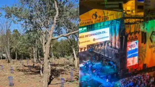 GranCa Live Forest: el bosque que crece gracias al festival. GranCa Live Forest: el bosque que crece gracias al festival.