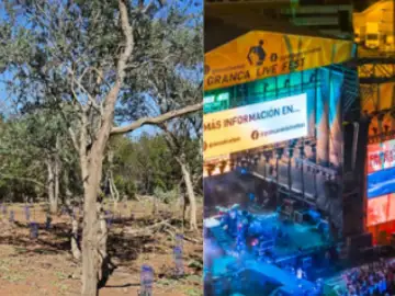 GranCa Live Forest: el bosque que crece gracias al festival. GranCa Live Forest: el bosque que crece gracias al festival.