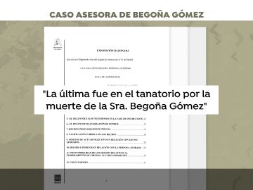 Escrito de Peinado