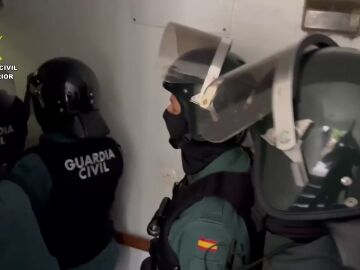 Desarticulada una banda que realizaba hurtos en supermercados en provincias españolas: habían actuado 36 veces solo en un año