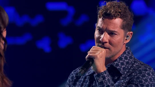 David Bisbal David Bisbal